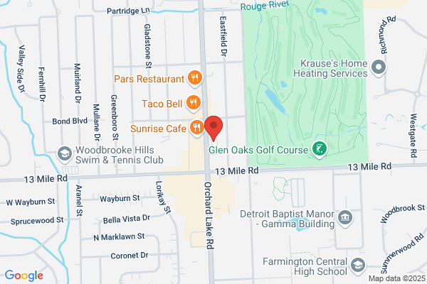 Famous Fried Chicken Farmington Hills
