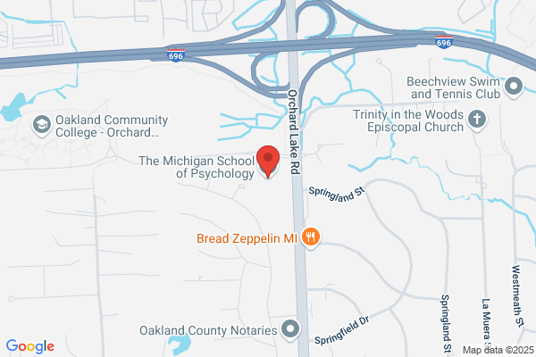 Michigan Association of Professional Psychologists