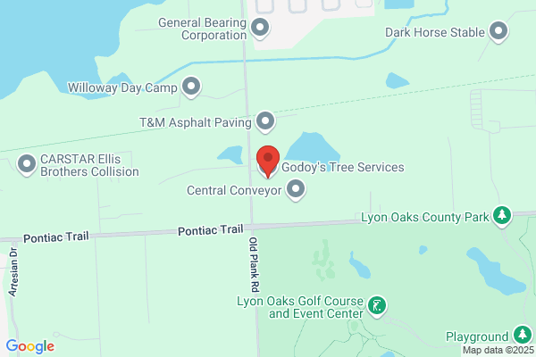 Godoy's Tree Services