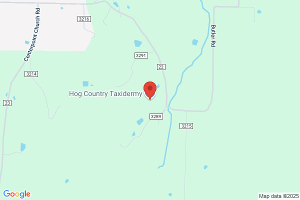 Hog Country Taxidermy