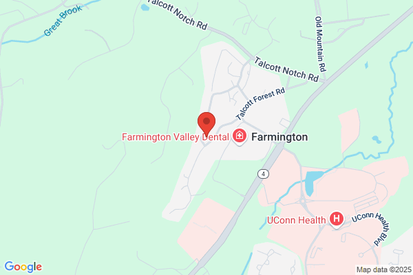 The Forest In Farmington