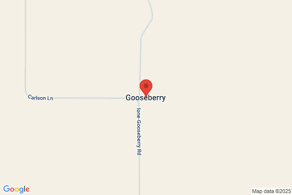 Goosebury Junction Llc