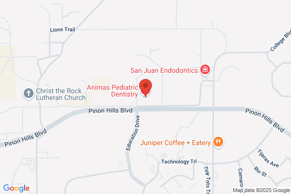 Animas Pediatric Dental Group