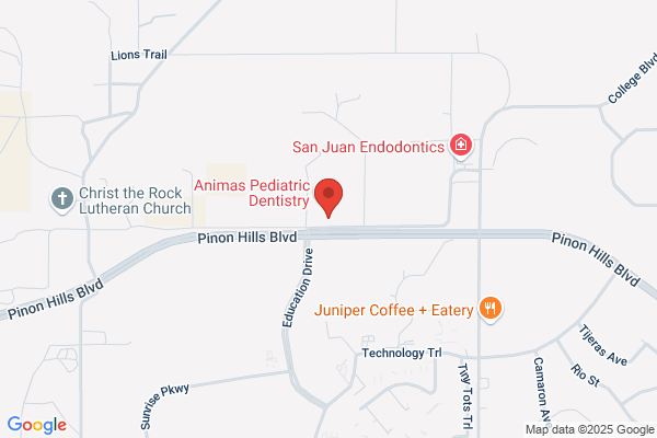 Kottke William C Dentist