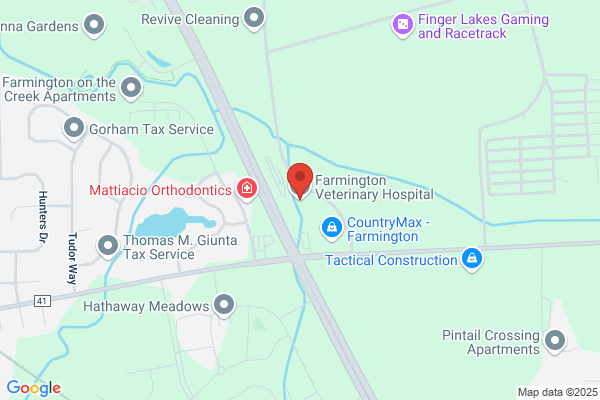 Farmington Veterinary Hosptl