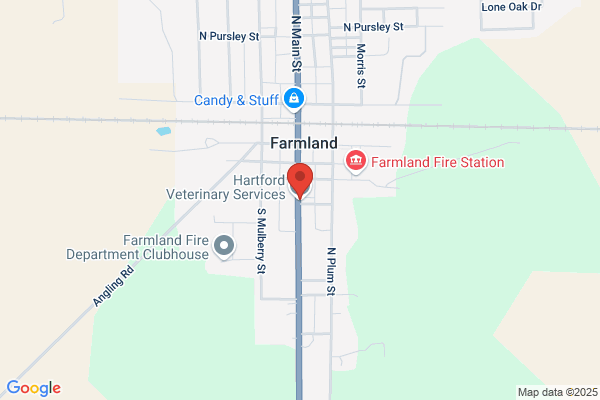Hartford Veterinary Services
