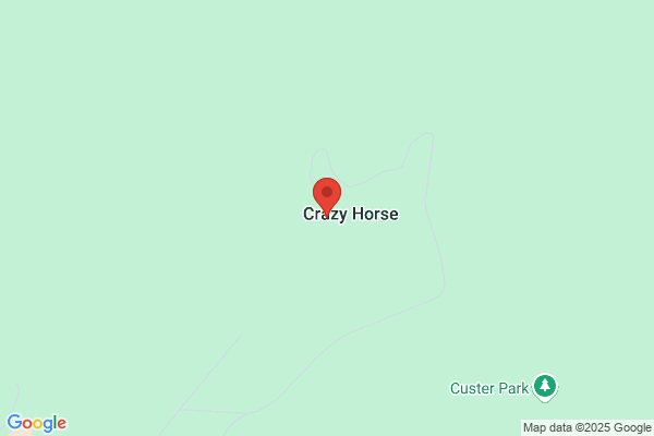 Crazzy Horse