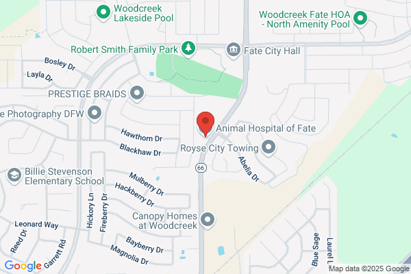 Animal Hospital Of Fate