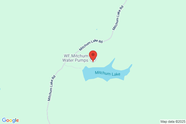 W F Mitchum Water Pumps