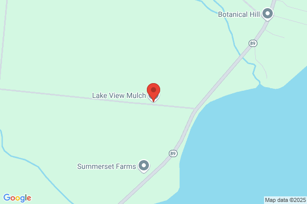 Lake View School