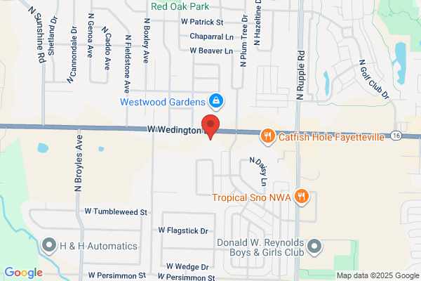 Wedington Animal Hospital