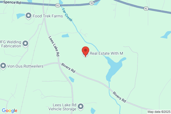 Real Estate Store Inc