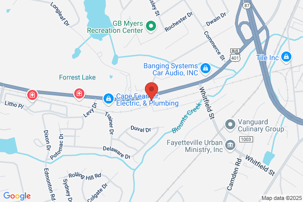 BelFlex Staffing Network