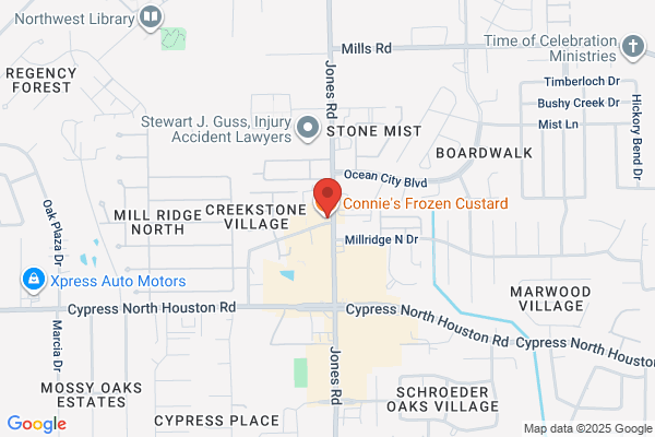 Connie's Water Ice Llc