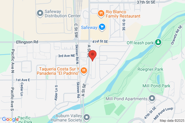 AutoZone Auto Parts