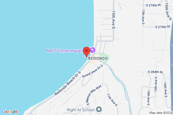 Pier 1 - Closed