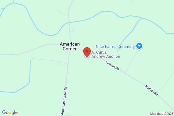 Andrew A Curtis Auction