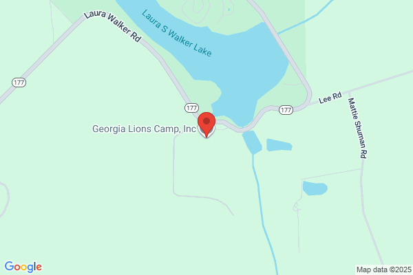 Florida Lions Camp