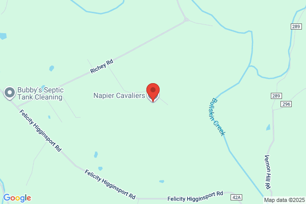 Napier Cavaliers