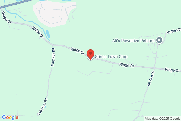 Stein's Lawn & Landscaping