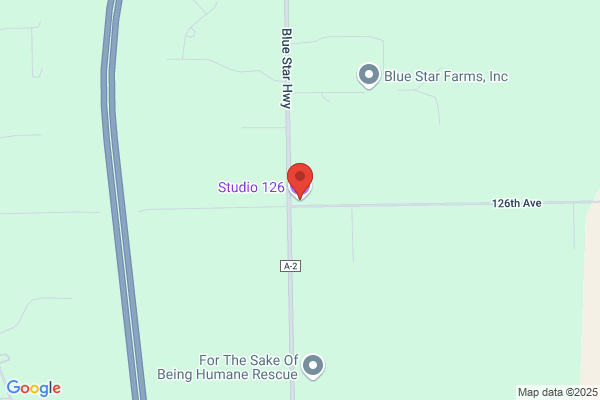 Stewartia Studio