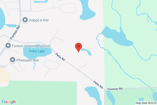 Lake Fenton Automation Inc
