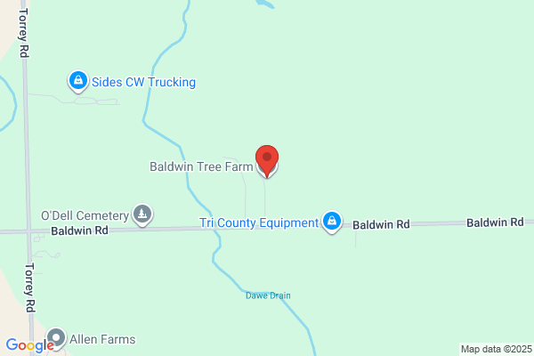 Baldwin Tree Farm