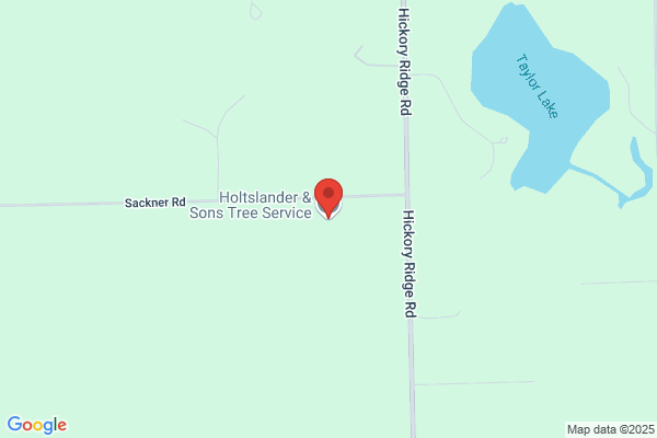 Holtslander & Sons Tree Service LLC