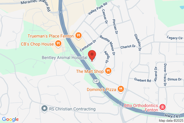 Bentley Animal Hospital