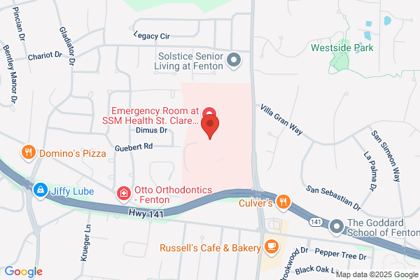 SSM Health Physical Therapy - Fenton