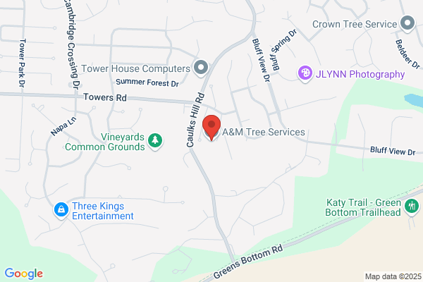 Atomm Tree Service