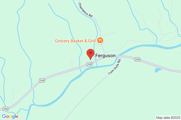 Ferguson Community Center Inc