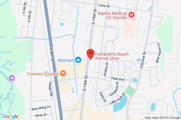 Fernandina Beach Animal Clinic