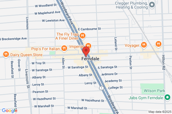 Woodward Ave the