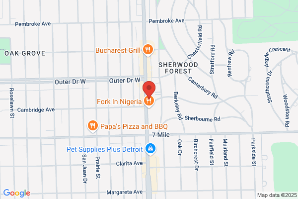 Motown On Livernois Portrait Photography