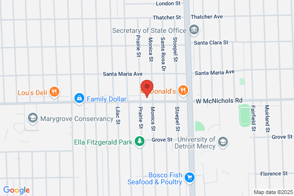 Detroit Pizza Bar