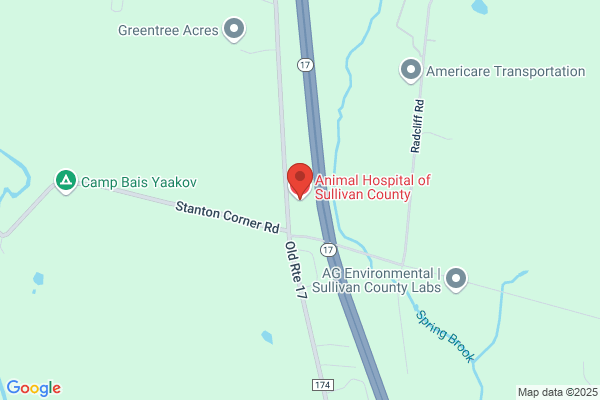 Animal Hospital Of Sullivan County