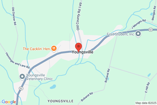 Youngsville Garage