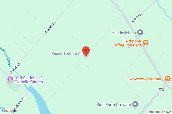 Peace Tree Farm