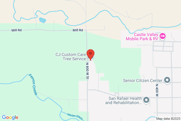 Cj Custom Care Tree Service, Custom Hauling & Backhoe Work