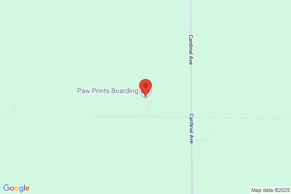 Paw Prints