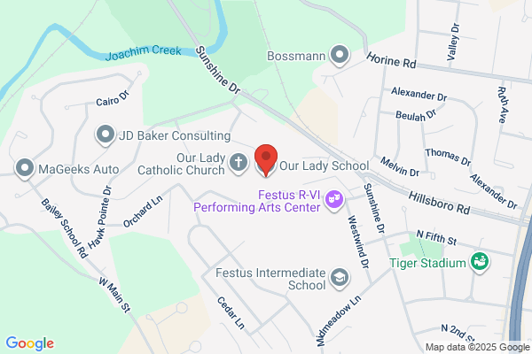 Our Lady's School