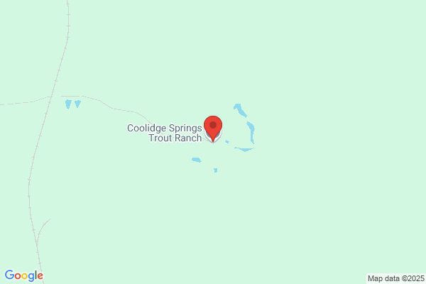 Coolidge Springs Auto Body