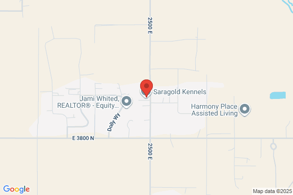 Saragold Kennels