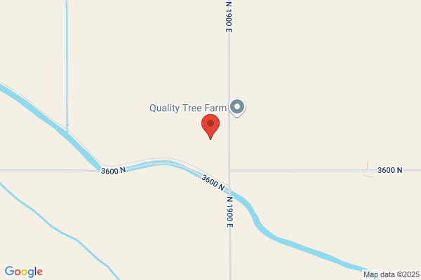 Shetler's Quality Tree Farm