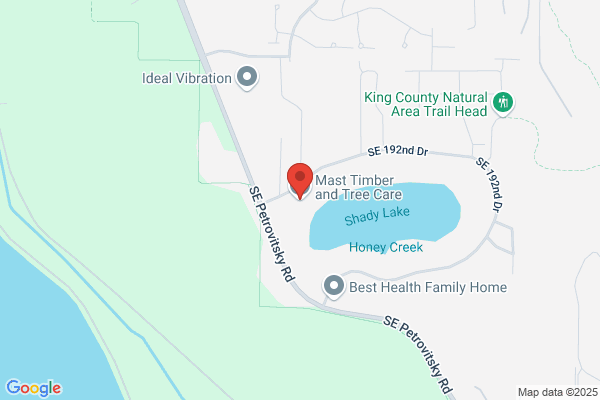 Mast Tree Service