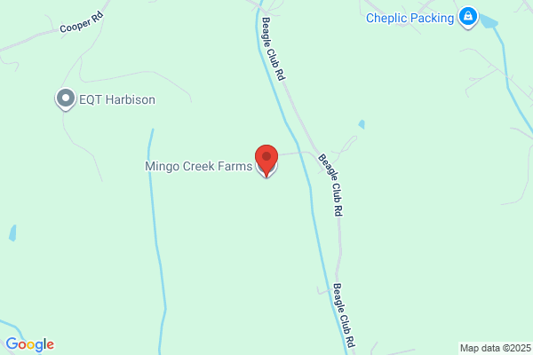 Mingo Creek Farms