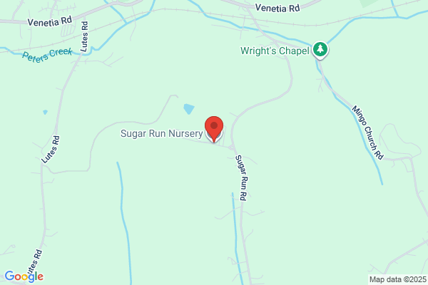 Sugar Run Nursery