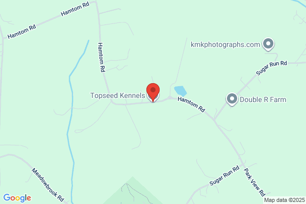 Topseed Kennels