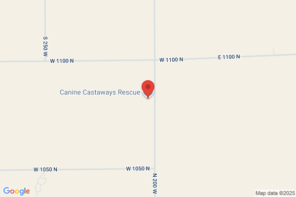 Canine Castaways Rescue, INC